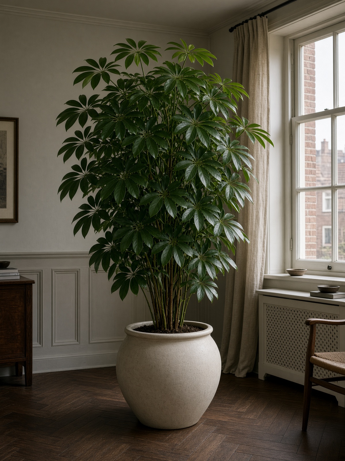 Vingerplant